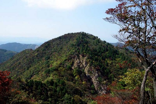 仙ヶ岳　西峰
